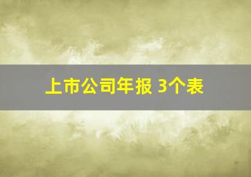 上市公司年报 3个表